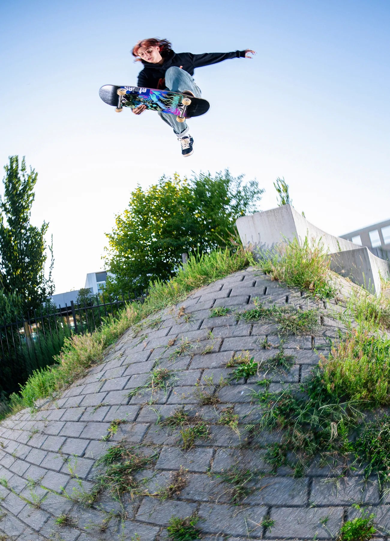 Classic Skate Shoes Collection | etnies Official CA